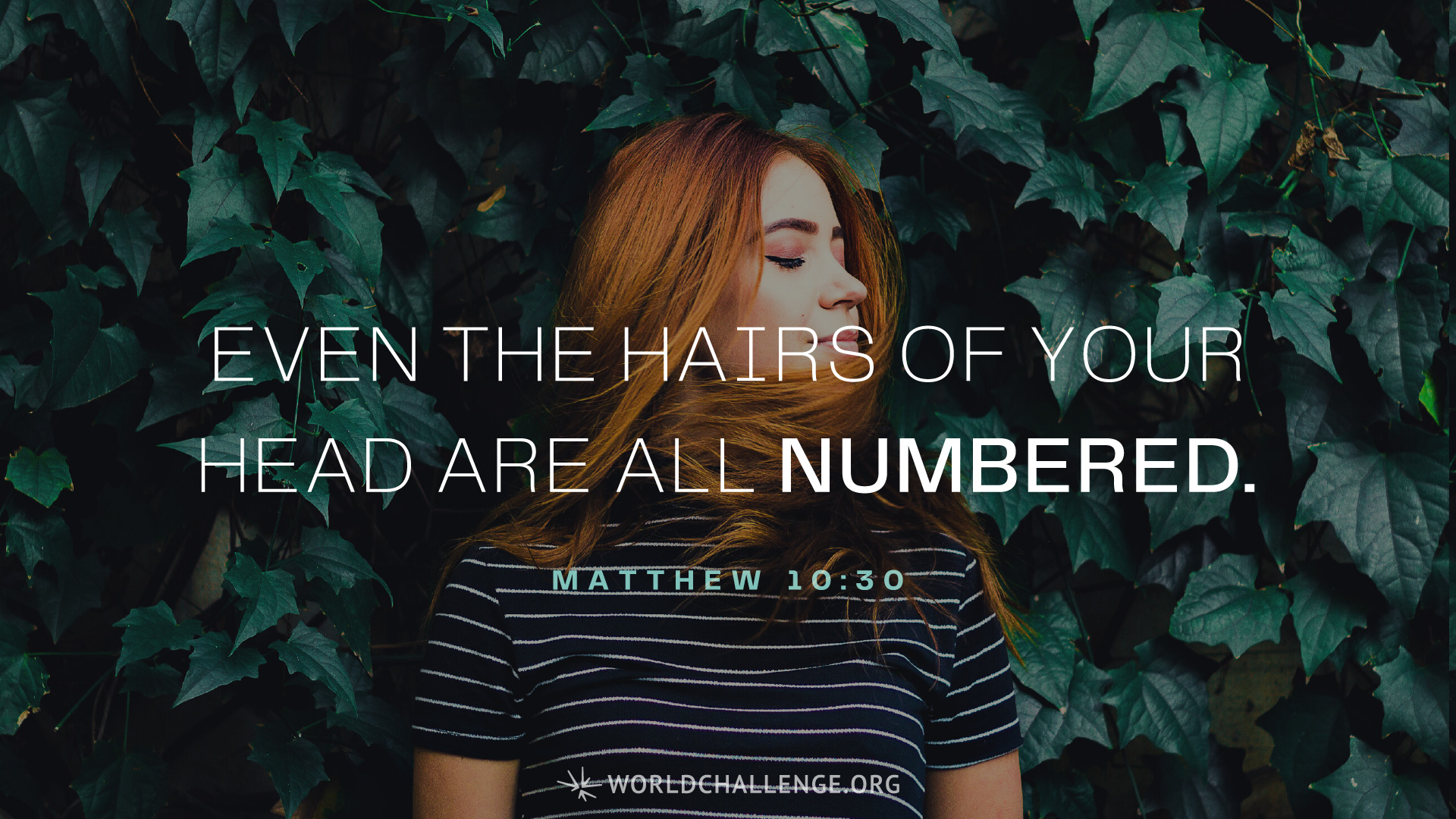 Matthew 10 29 31 worldchallenge