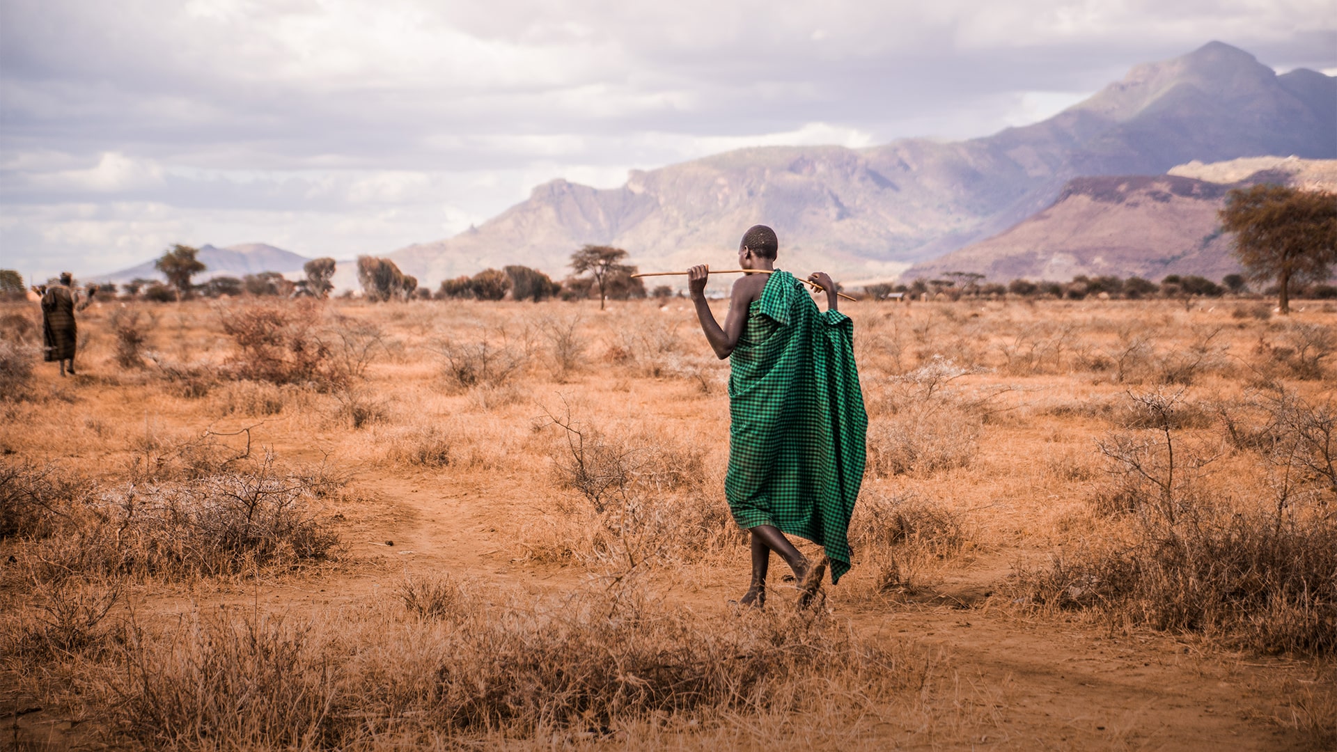 African Shepard walking through plains