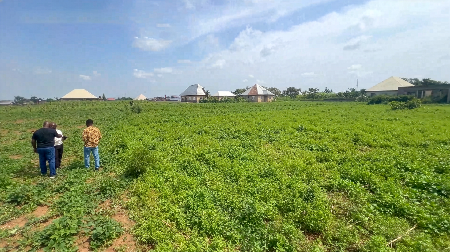 Land in Nigeria
