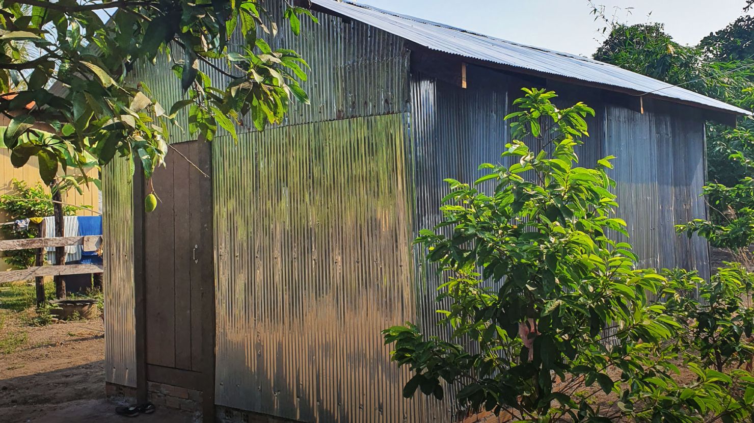 Tin Shack