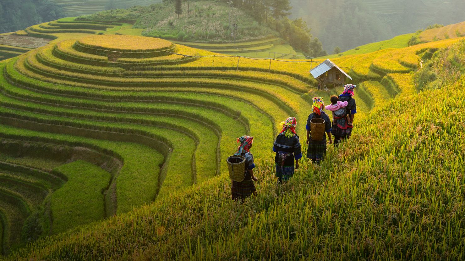 people walking home from working on the field