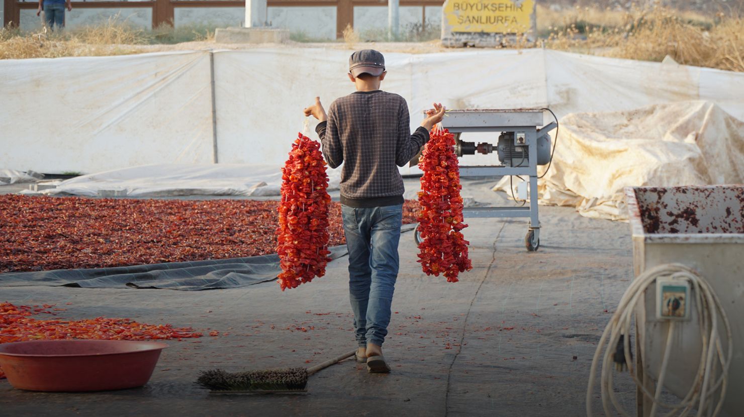 refugee holding produce for drying