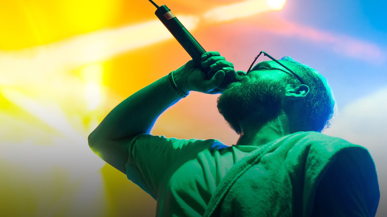 singer at concert