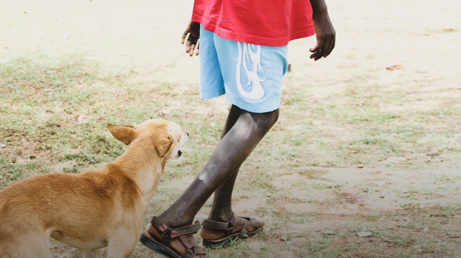 Dog and boy