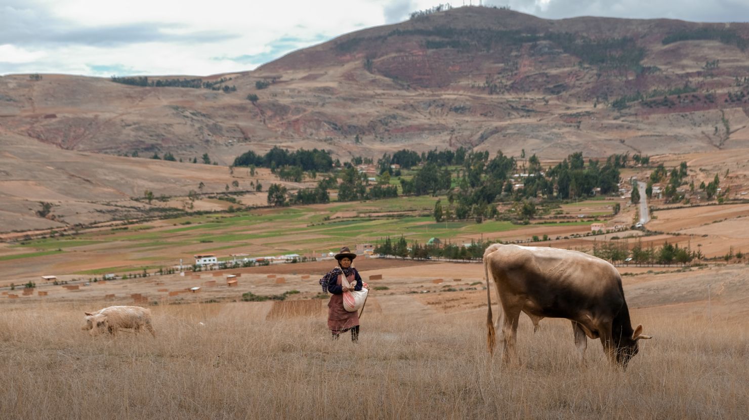 Shepherd woman