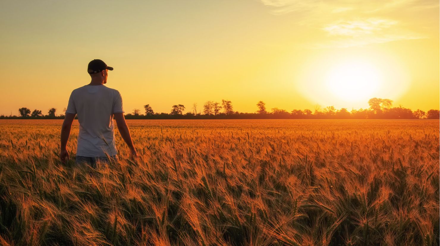 standing in a field