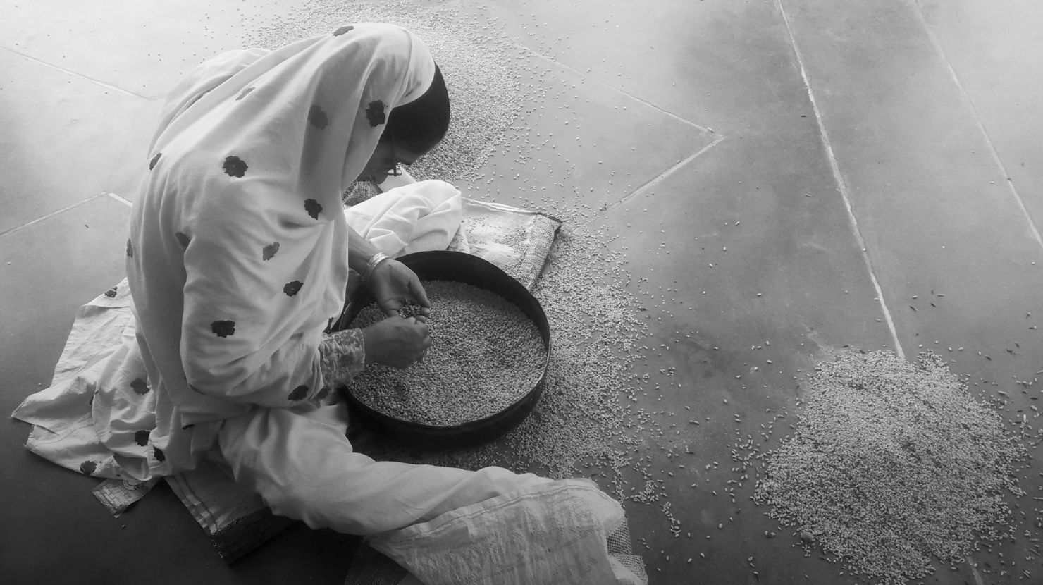 Woman Cleaning Wheat While Sitting At Home