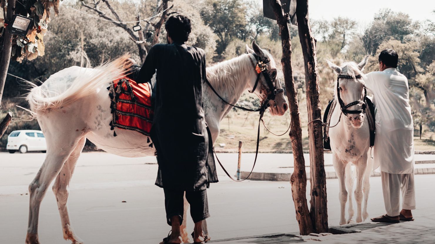 two horse men warming up horses in a park